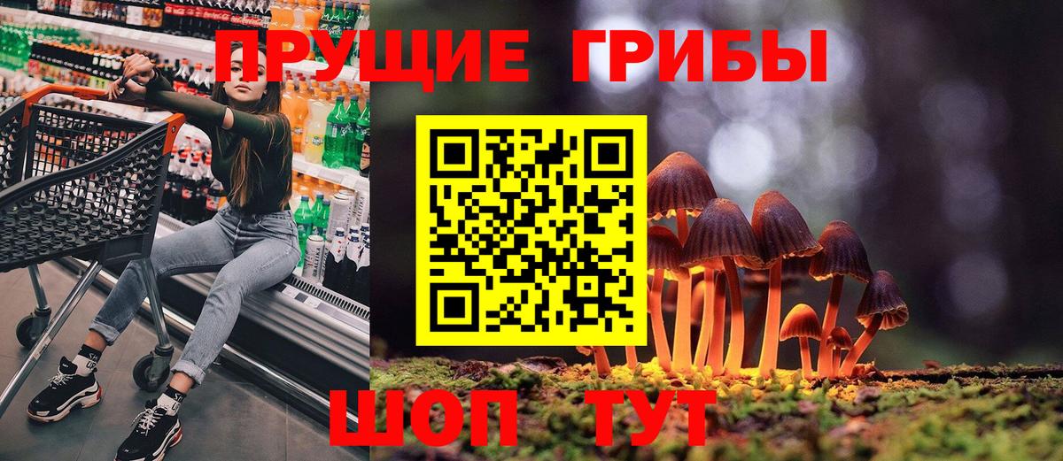 где купить   Галлюциногенные грибы Cubensis  Вход с VPN  Псилоцибиновые грибы прущие грибы  Ипатово 