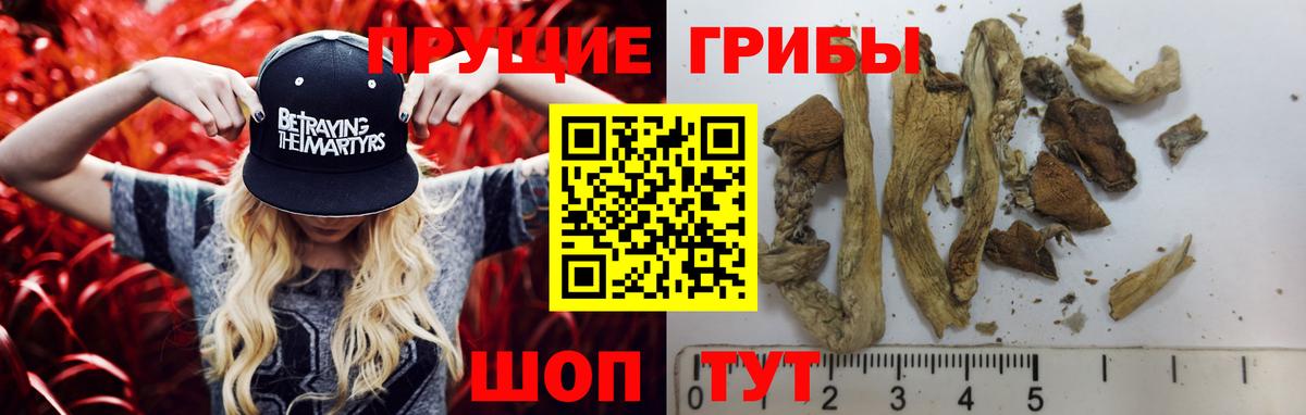 Галлюциногенные грибы прущие грибы Ипатово